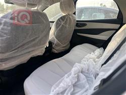 بي واي دي سيل 06 DM-i